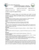 Cada una de las subdivisiones de la clasificación biológica, desde la especie, que se toma como unidad, hasta el filo o tipo de organización.