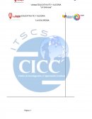 GUÍA PARA PRESENTACIÓN DE ANTEPROYECTO CONTABILIDAD E INFORME FINAL DEL PROYECTO PRÁCTICO DE CONTABILIDAD DE 2DO DE BACHILLERATO DE CALIDAD E INNOVACIÓN