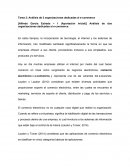 Análisis de 2 organizaciones dedicadas el e-commerce