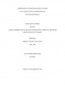 Como considera que se aplican los principios laborales, dentro de las relaciones de trabajo?