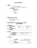 CLASES DE RELACIONES INDUSTRIALES, PARTE 1.