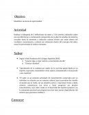 Identificar sus áreas de oportunidad.