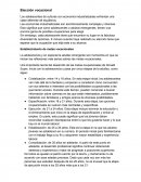 Elección Vocacional. Los adolescentes de culturas con economía industrializadas enfrentan una clase diferente de equilibrios.