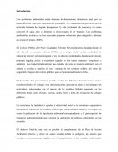Los problemas ambientales están alcanzan do dimensiones dramáticas tanto por su intensificación como por su exposición geográfica