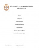 RED DE ESCUELAS UNIVERSITARIAS DEL SURESTE