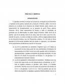 Práctica de genética