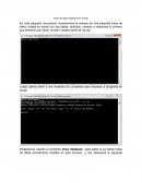 Base de datos realizada en mysql