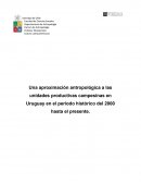 Uenidades productivas campesinas en Uruguay en el periodo histórico del 2000 hasta el presente.