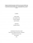 PROGRAMA DE SOCIOLOGIA DIARIO DE CAMPO