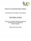 Ensayo de Los Delitos Informáticos previstos y sancionados en el Ordenamiento
