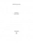 Identificación de puntos críticos.