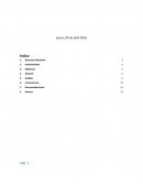 En el presente informe se muestra el análisis realizado al Caso “Cemento Fortuna Despacho de Cemento”