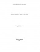 Programa de Bachillerato Internacional Adaptación de la guía de Manual APA 6ta edición