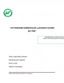 Actividades esenciales llevadas acabo en TPM