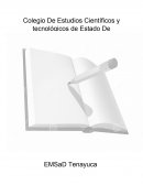 Reporte micro empresa