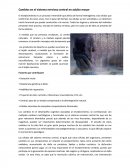 Envejecimiento cerebral