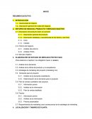 INDICE RESUMEN EJECUTIVO