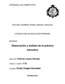 Observación y análisis de la práctica educativa.