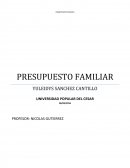 Diagnostico de economia familia