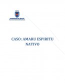 CASO: AMARU ESPIRITU NATIVO