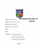 Informe de microbilogia