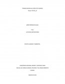 Trabajo individual politicas agrarias