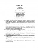 PERCEPCIÓN EQUIPO 1