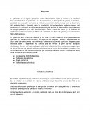 Placenta. La placenta es el órgano que actúa como intermediario entre la madre y el embrión
