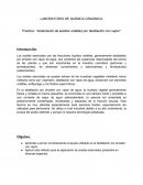 LABORATORIO DE QUÍMICA ORGÁNICA.