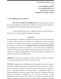ALEGATOS JUICIO DE DIVORCIO NECESARIO.. Página 1