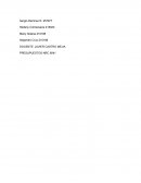 Resumen Presupuestos de Producción