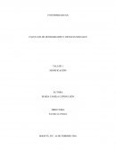 TALLER 1 SIGNIFICACIÓN