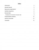 Proyecto final Estrategia para incrementar el mercado meta