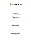 RESUMEN PRESUPUESTOS DE PRODUCCIÓN.