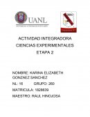 Act. Inegradora Experimentales 2