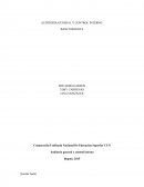 CONTROL INTERNO AUDITORIA