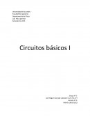 Circuitos básicos I Grupo N° 3