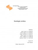 Programa de ciencias sociales