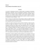 Los azucares o carbohidratos de acuerdo a su tamaño pueden ser considerados monosacáridos