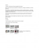 Aplicaciones del campo magnético Electroimán.