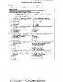 PRUEBA DE QUIMICA TERCERO MEDIO