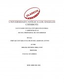 PERITAJE CONTABLE EN EL DELITO DE LABADO DE ACTIVOS