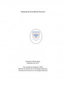 Elementos de la Gestión de Proyectos.