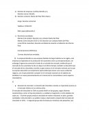 Investigacion de mercado merello