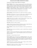 Guion Para Dramatizacion De Terremoto.