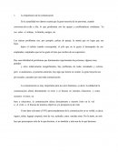 Opinion importancia de la comunicacion