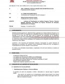 Analisis de las labores de fiscalización