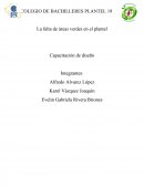 La falta de áreas verdes en el plantel