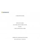 EJEMPLO PARA EL PROYECTO PROFESIONAL DE PEDAGOGÍA