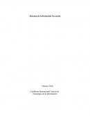 Características estratégicas de la Información: Información como activo empresarial